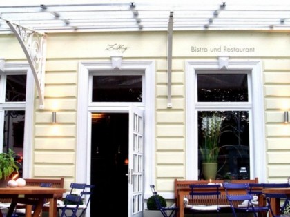 Foto: Zaunkönig